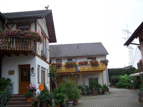 Schwanau House | Meyerhof