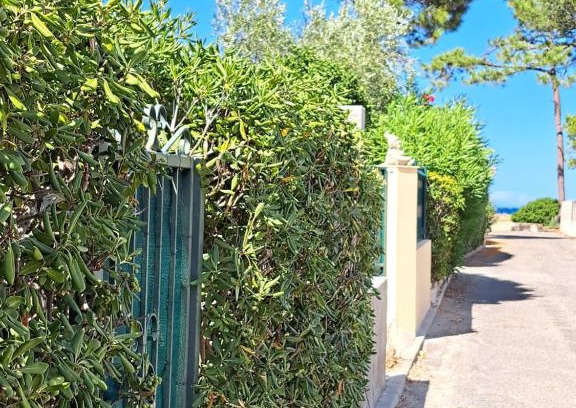 Pineto House | Mini villa jardin 50 m plage