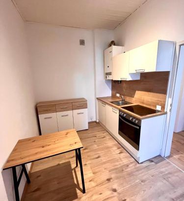Leoben Apartment | Mini-Wohnung für Hackler
