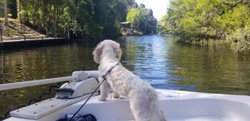 Crystal River House | Minutes to boat ramps and beach and private pool!