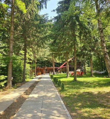Avrig House | Misha's House