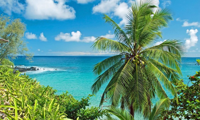 Wailuku Condo | MKT 233C $249 Fall Special at Cozy 2Bedroom Cottage Wailuku Town w AC Near Iao