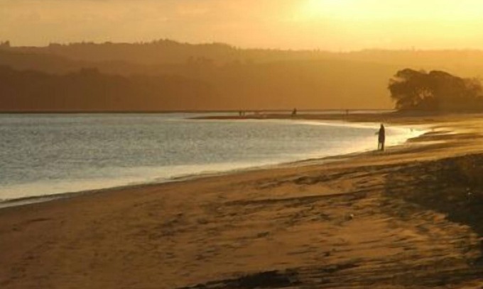 Ohope Bed & Breakfast | Moanarua Beach Cottage