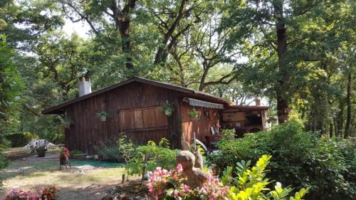 Bouniagues Other | Mobil-home façon chalet spa au calme en nature