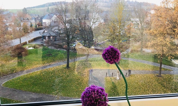 Usseln Apartment | Modern apartment with 2 bedrooms - apartment at the park