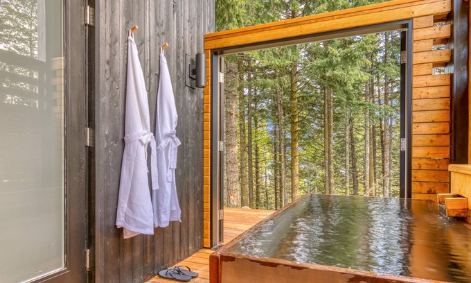 Stevenson Cabin | Modern cabin, views, geothermal hot tub, indoor steam sauna & deck