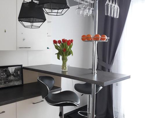 Krzyki Apartment | Modern Calm Studio, Wroclaw