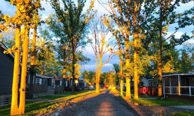 Queenston Cabin | Modern Cottage @Niagara-On-The-Lake