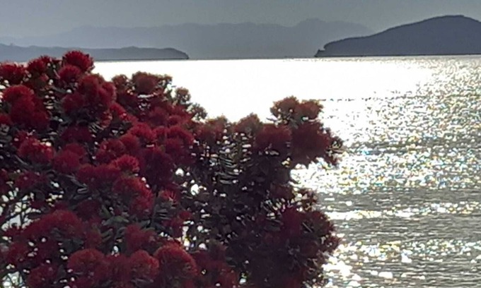 Maraetai House | Modern home 5 minutes to the beach, surrounded by native bush