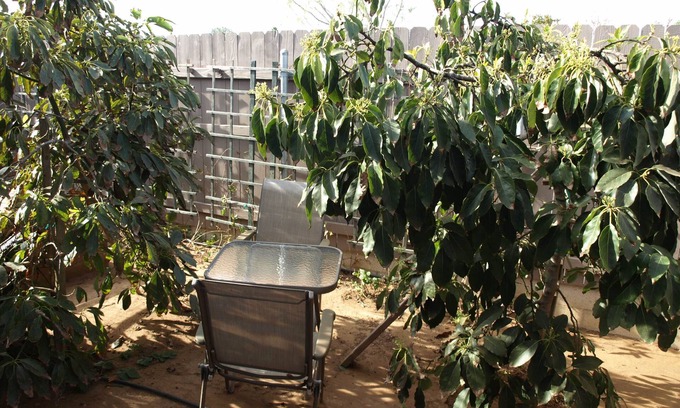 Clairemont Mesa West House | Modern Luxury Guest House- Near Beaches, Bay, UCSD, Hospitals!