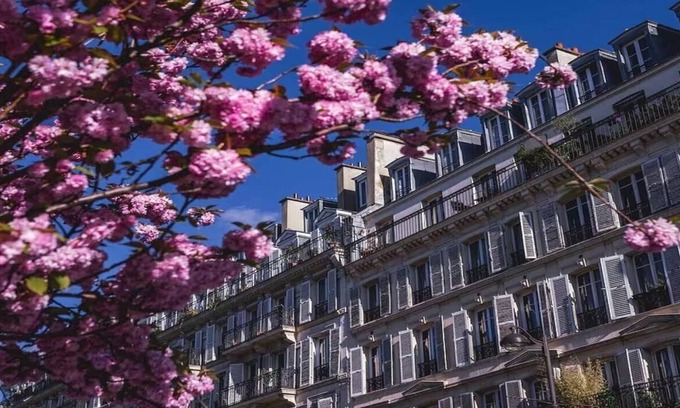 Saint-Merri Apartment | MODERN, PLUSH , LUXE& TOP FLOOR- A SIGNATURE MARAIS HOME