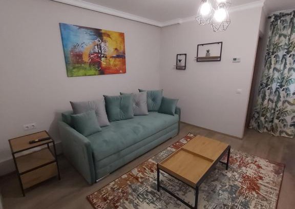 Tirgu Mures Apartment | Modern Studio