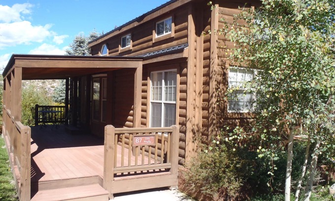 Almont Cabin | Modern "Tiny Home" Style Cabin on Taylor River with Private Fishing Access