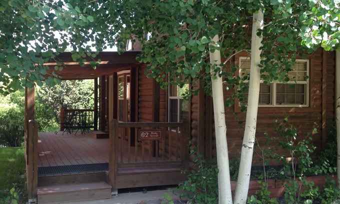 Almont Cabin | Modern "Tiny Home" Style Cabin on Taylor River with Private Fishing Access
