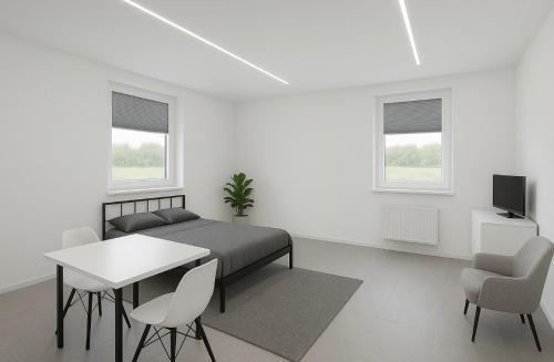 Bad Rappenau Apartment | Modernes Einzimmerappartement