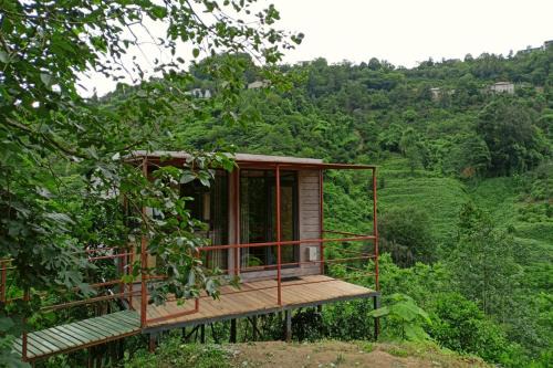 Kobuleti House | Modular House Green Zyland Gamma