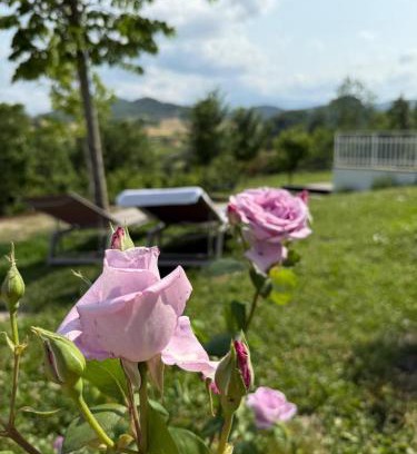 Pavullo nel Frignano Apartment | Molino Galeotto Riserva del Frignano