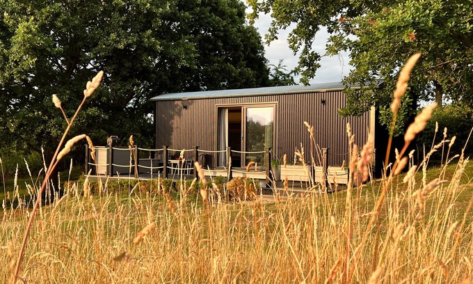 Marsham Cabin | Molly, nestled in a peaceful farm in Marsham, North Norfolk