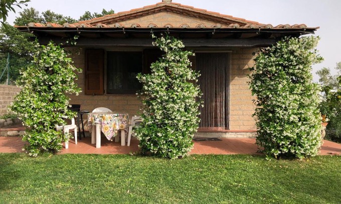 Elmo House | Monolocale La Mimosa