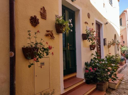 Poggio Apartment | Monolocale Poggio