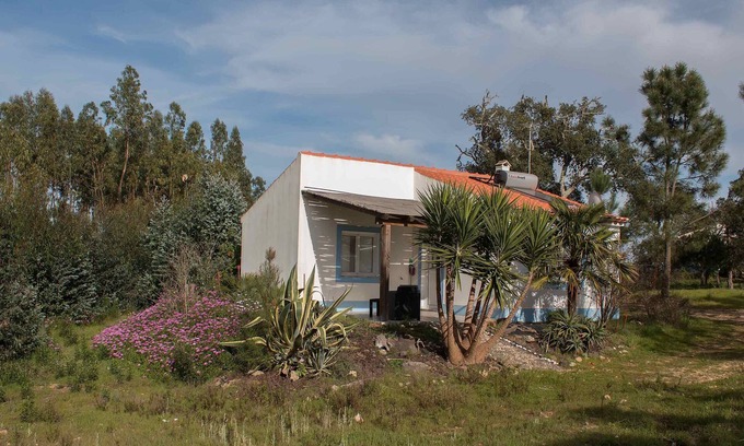 Santiago do Cacem House | Monte Horizonte Casa Oliveira Eco & Nature