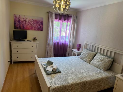 Gambelas House | Montenegro Dreams