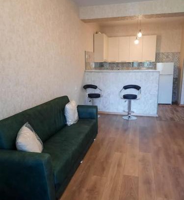 Vake-Saburtalo Apartment | Monthly rent for the Didi Dighomi Apartment