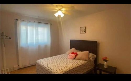 LaSalle Apartment | Montreal One-Bedroom Apartment Number3 with shared-bathroom and shared kitchen