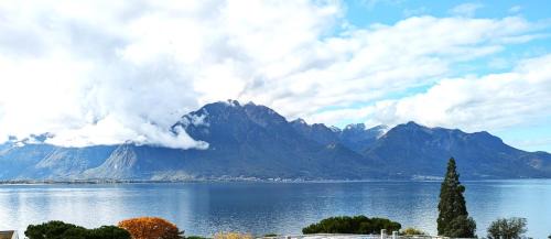 Montreux City Centre Apartment | Montreux Central Boutique Apartment Lake View and Terrace