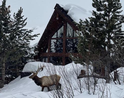 Steamboat Springs House | Moose Meadows Lodge - Huge Views, Great Room, Game Room, Theater