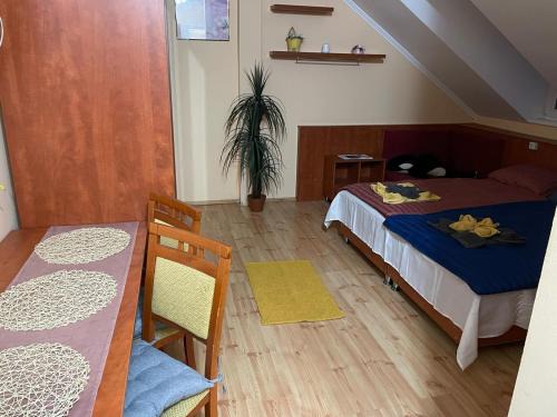 Gyula Apartment | Morningside01