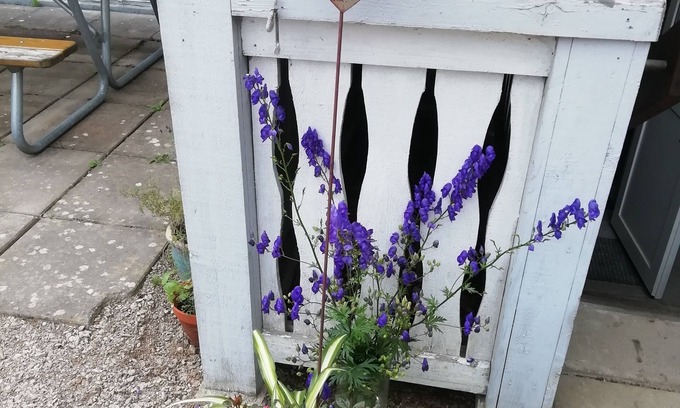Emmaboda Bed & Breakfast | Moshults Vandrarhem