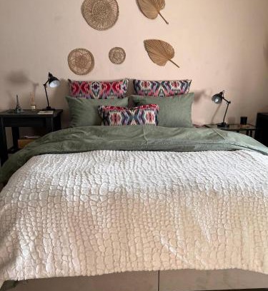 Drama House | Mosquito Guest House 2