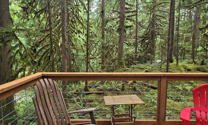 Marblemount Cabin | Moss Top Cabin: cozy off-grid retreat