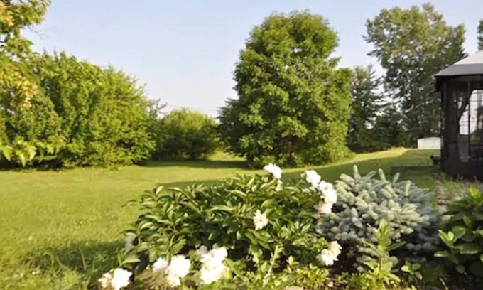 Buckingham Hotel | Motel Les Pignons Verts