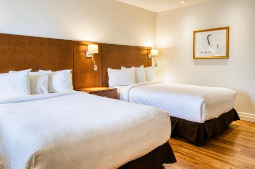 Rouyn-Noranda Hotel | Motel Mistral