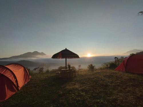 Kintamani Other | Mount Batur Sunrise Trekking Stay Package in Kintamani Adventures