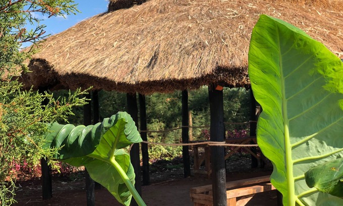 Cherubei House | Mount Elgon Guest House