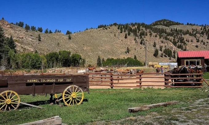 Almont House | Mountain Escape: Fish, Raft & Ride Horses at Your Doorstep in Colorado
