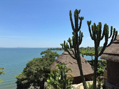 Mabira Resort | Mountain Inn Resort