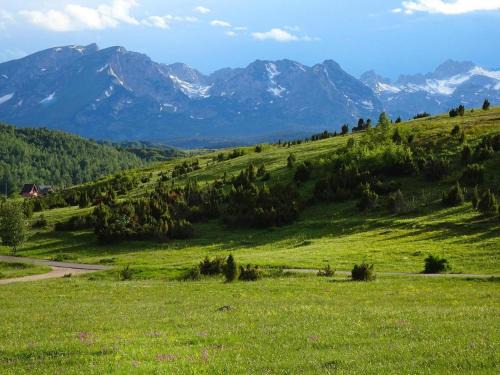 Tepacko Polje Ski Chalet | Mountain Lodge with View near Durmitor National Park
