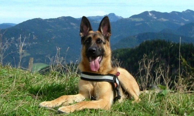 Aschau im Chiemgau House | Mountain love subject matter