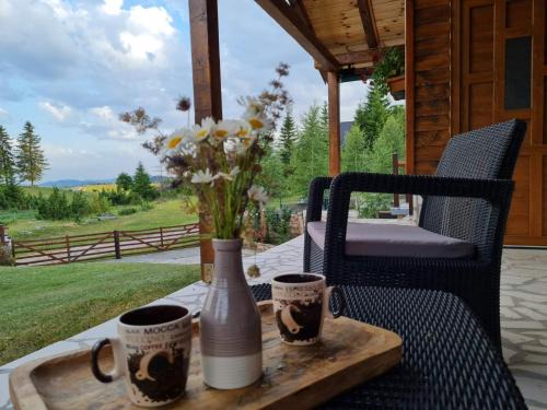 Razvrsje House | Mountain Star