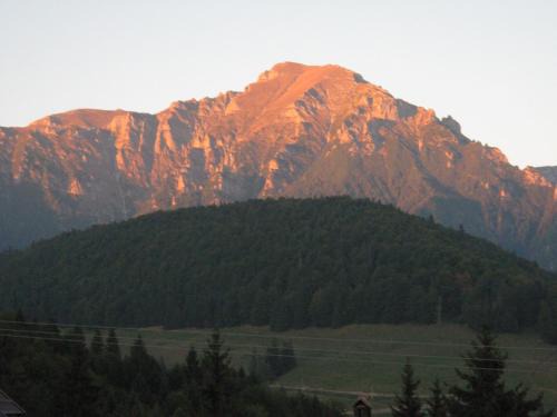 Rasnov Apartment | Mountain view apartment Predeal