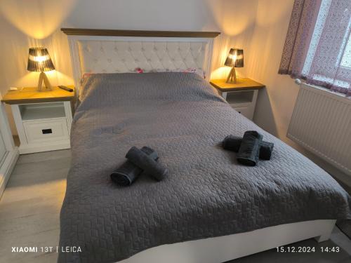 Baia Mare Apartment | Mountain view