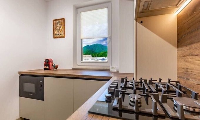 Brasov Apartment | Mountain View Terrace Oasis