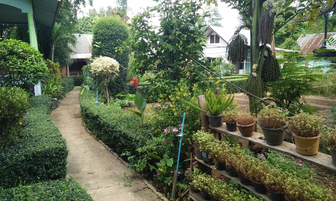 Pai House | Mr Jan Guest House