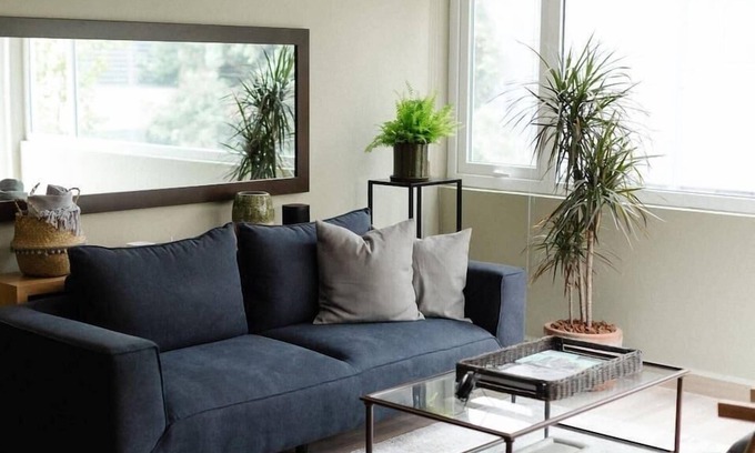 Colonia Cuauhtemoc Apartment | Mr. W | 2BR Reforma Financial Zone