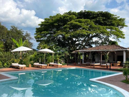 Quimbaya Hotel | MuchoSur Quimbaya