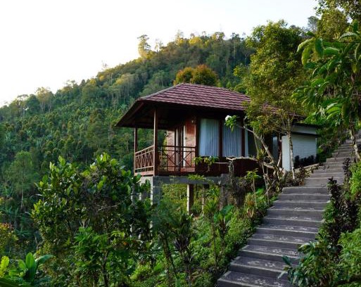 Munduk House | Munduk V View House